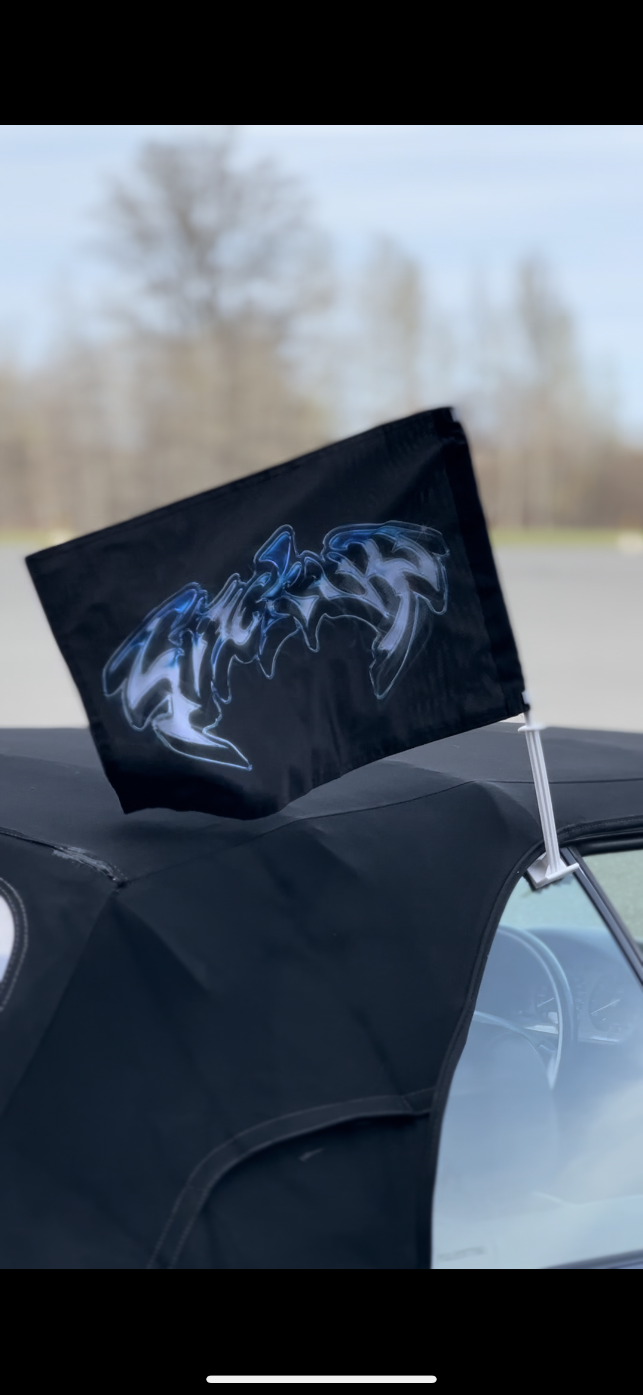 STICKUP WINDOWS FLAG